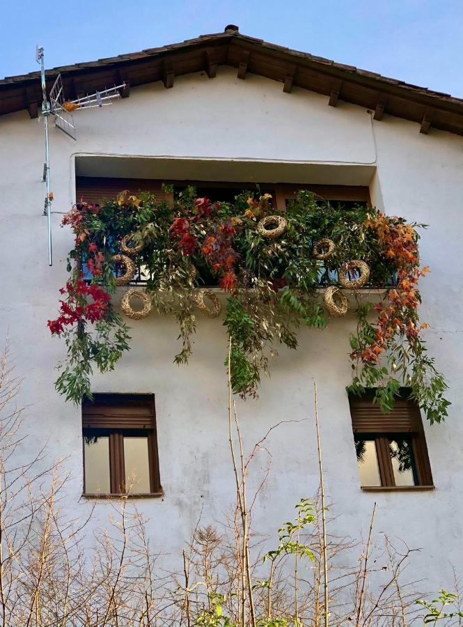 Apartamentos En El Valle Del Jerte Flores Para Angela 카베주엘라델발 외부 사진